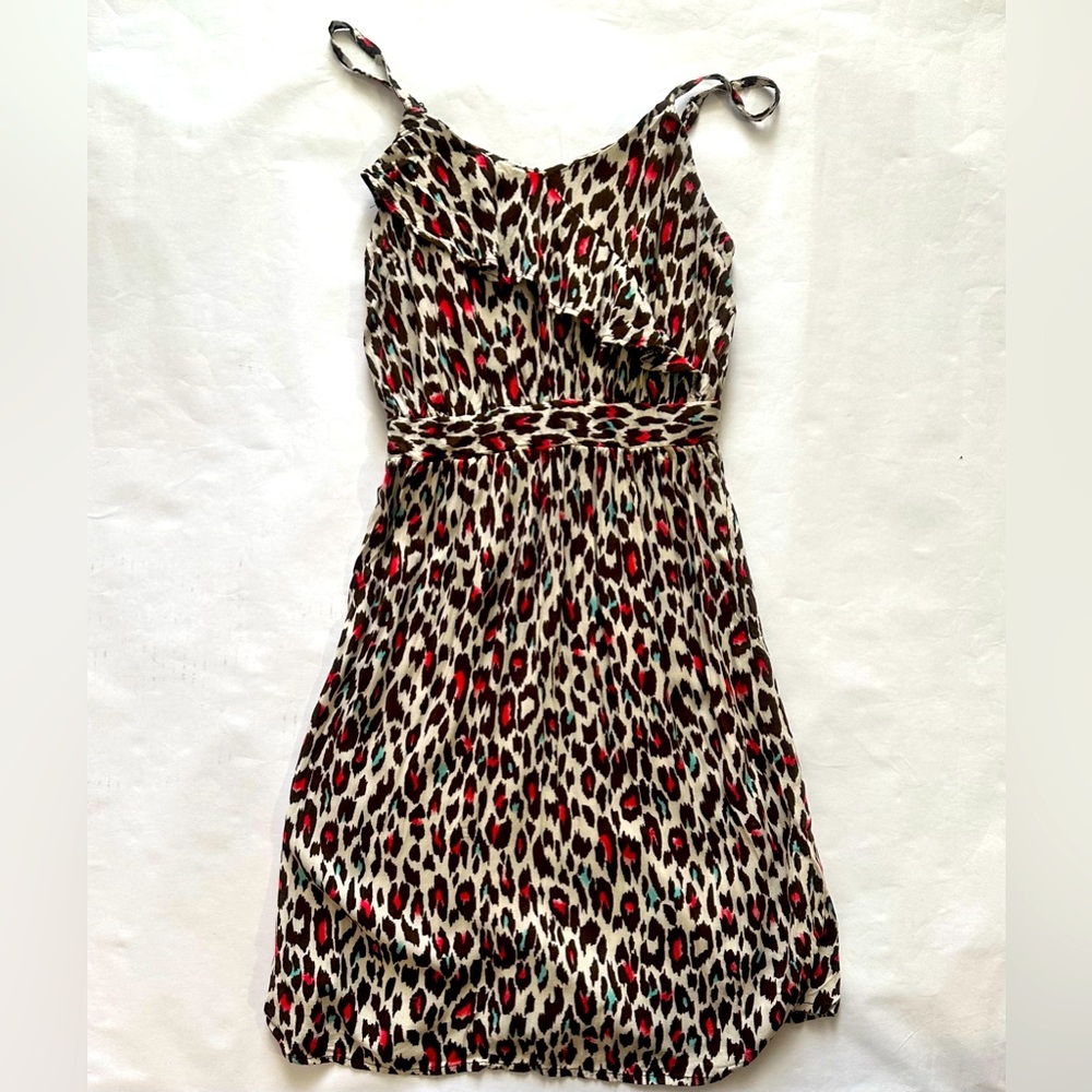 xhilaration Leopard Print Dress with Red Accents